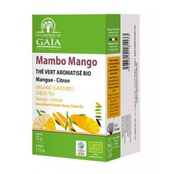 Mambo-Mango / 20 infusettes