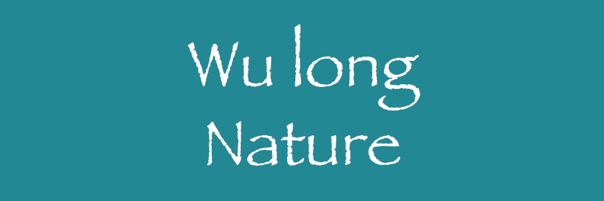 Wu Long aromatisé Bio
